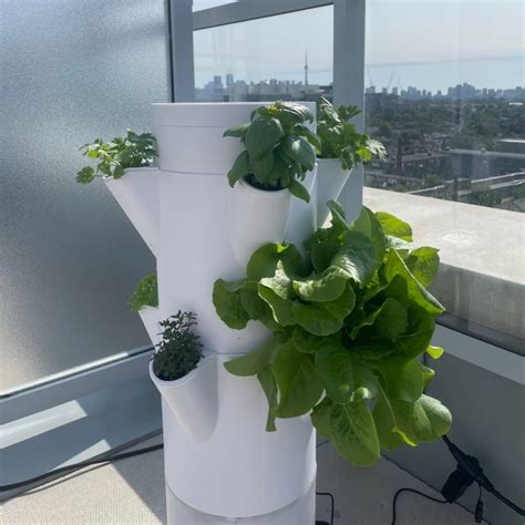 exploring  future  urban farming  stack sprout