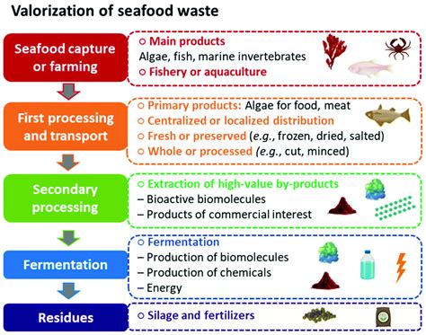 From Green To Blue Economy Marine Biorefineries For A Sustainable