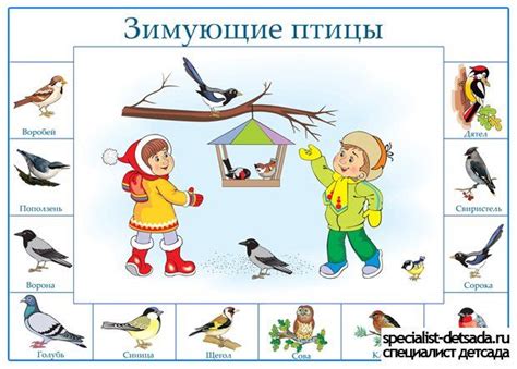 зимующие птицы задания для малышей | Зима, Лэпбук, Дошкольник