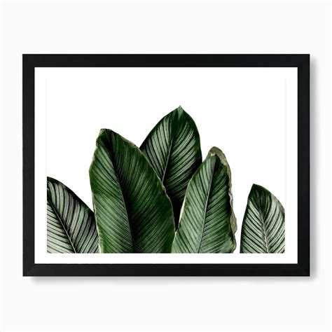 Green Art Prints & Posters | Fast shipping & free returns on all orders | Shop Fy! Art