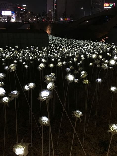 LED roses by Dongdaemun Design Plaza, Seoul | Ceiling lights, Light, Design