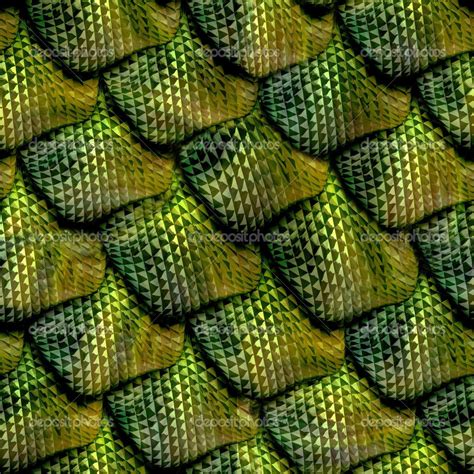 Reptile Skin Reptile Scales Reptiles