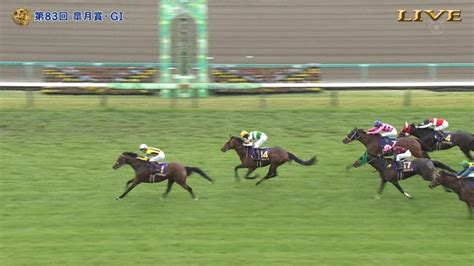 【競馬】フルゲート18頭になった92年以降皐月賞を1枠1番で勝った馬はナリタブライアンとコントレイルだけ ⇒ New ソールオリエンス これ