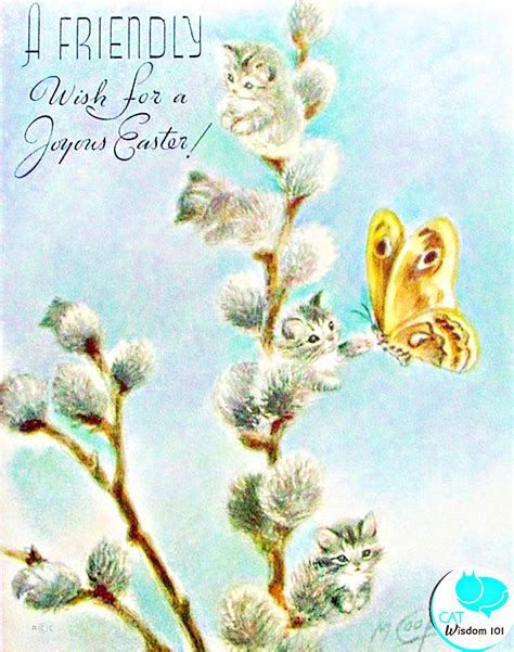 Pussy Willow Feline Folklore For Easter Cat Wisdom