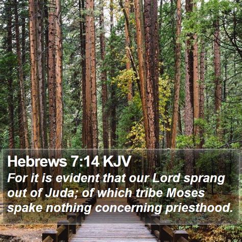 Hebrews Kjv Bible Verse Images