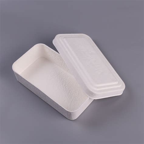 Customized Molded Pulp Box Packaging With Biodegradable Insert Trays