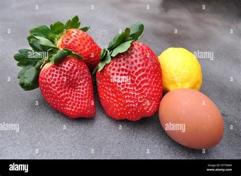big strawberry giant size stock photo alamy