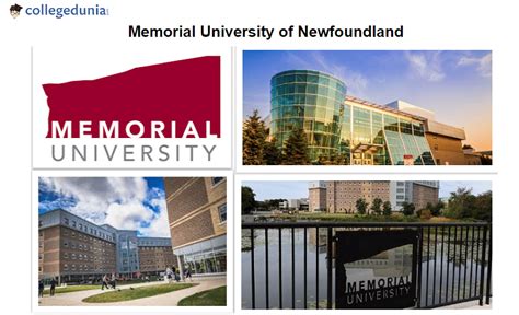 Memorial University of Newfoundland Admissions: Requirements, Acceptance Rate, Deadlines ...