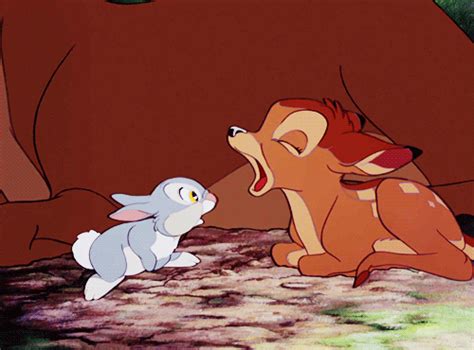 Bambi + Thumper - Bambi Photo (22342970) - Fanpop