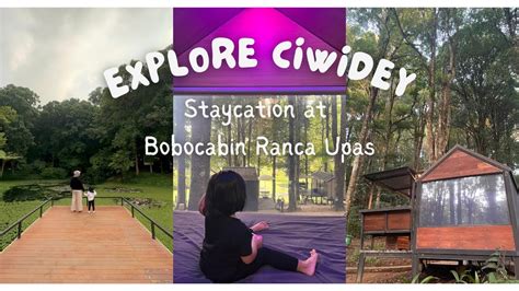 Short Escape To Ciwidey Part Staycation At Bobocabin Ranca Upas