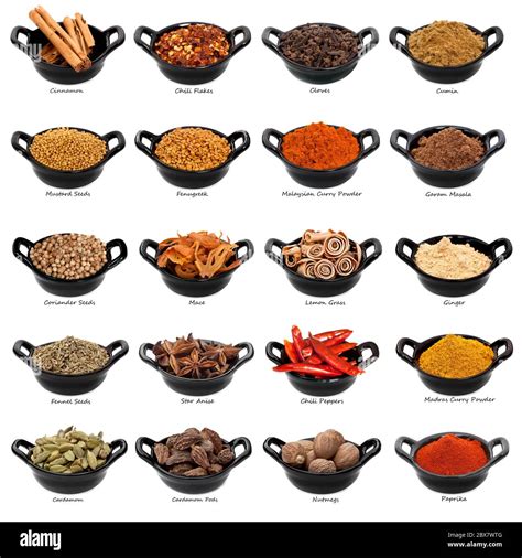 herbs  spices  list