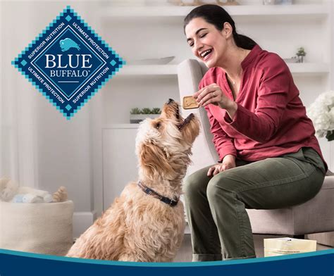 Buy Blue Buffalo Dog & Cat Food - Healthy & Natural | BJ's Wholesale Club