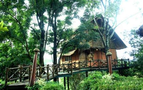 Beautiful Tree House Resorts In Kerala Kerala Tree Houses