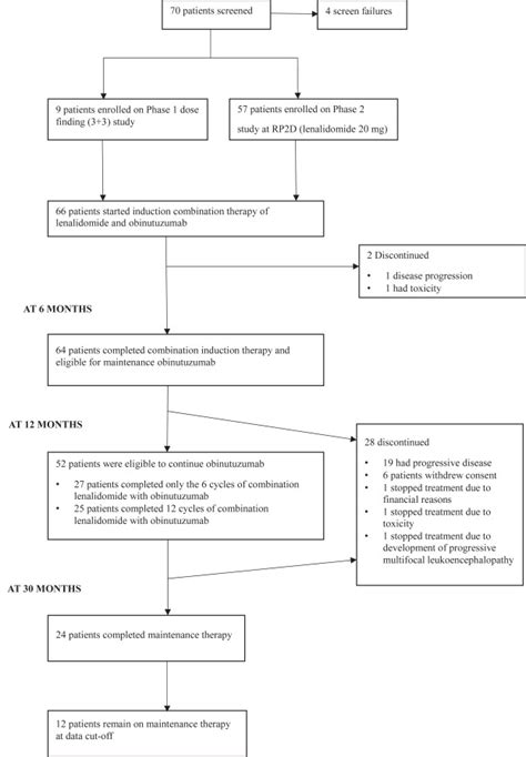 Safety And Activity Of Lenalidomide In Combination With Obinutuzumab In