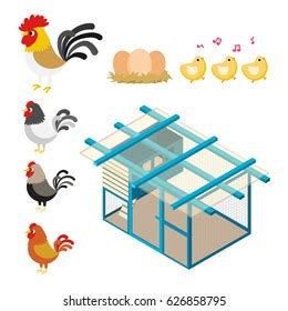 Chicken Poultry Farm Isometric Elements Set Stock Vector Royalty Free