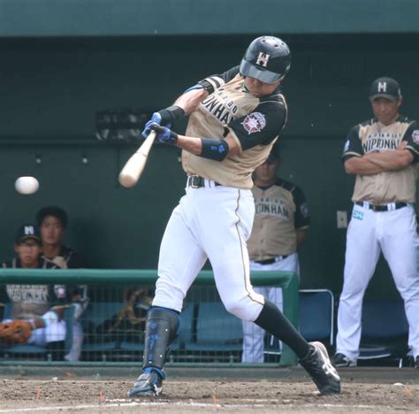 日本ハム中島6日1軍復帰 左太もも肉離れ不安なし プロ野球 日刊スポーツ