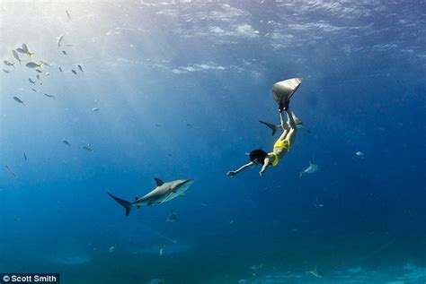 South African Free Diver Swims Naked Just Inches From Deadly Sharks Daily Mail Online