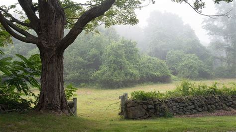 Old Lyme and Lyme, Connecticut | Photographs - New England