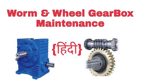 Gearbox Maintenance Worm And Wheel Gearbox Maintenance Worm Shaft