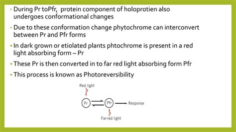 Photomorphogenesis | PPT