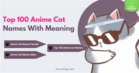 100 Best Anime Cat Names That Sounds Cooler - Drlogy Cat Names