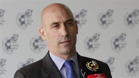 Luis Rubiales, elegido vicepresidente de la UEFA - Levante-EMV