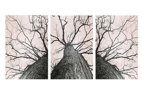 Tree Art Set Large Wall Art Tree Triptych Art Etsy Tree Art Forest