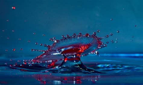 druppel zeelandnet foto