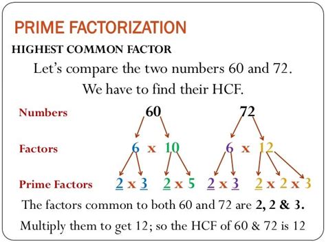 Mathematics for Grade 6: Prime Factorization - HCF