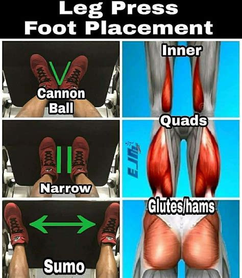 Leg Press Foot Position Chart