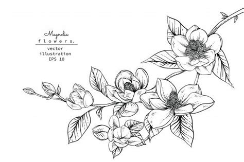 A Drawing Of Flowers On A White Background