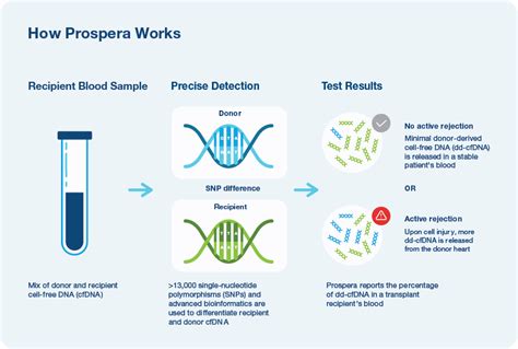 Prospera Heart Overview Cell Free Dna Testing Natera