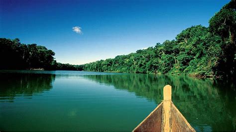 Desl Mbrate Con El Fascinante Parque Nacional Del Manu