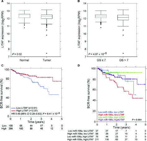 Lipopolysaccharide Induced Tnf A Factor Is Aberrantly Expressed In