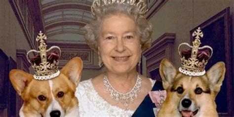 La increíble herencia que le dejó la Reina Isabel II a sus perros