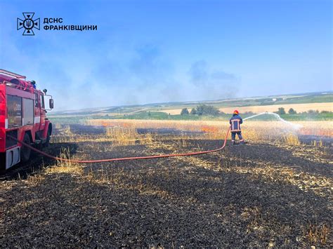 Площею 200 квадратних метрів: на Прикарпатті горіло поле з пшеницею (ФОТО)
