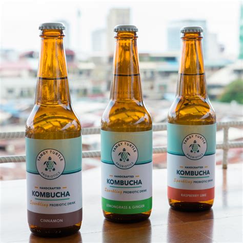 What is Kombucha? — Tangy Turtle Probiotics