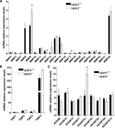 Analysis Of MMP ADAM ADAMTS And TIMP Expression Levels In 4 Week Old