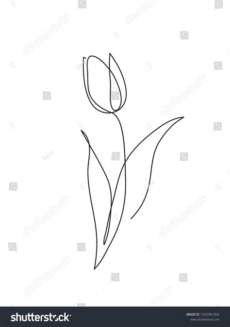 24441 Drawing Tulip Line Images Stock Photos And Vectors Shutterstock