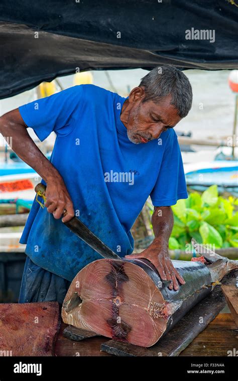 Tuna Fish At Fish Market In Galle Sri Lanka Stock Photo Alamy