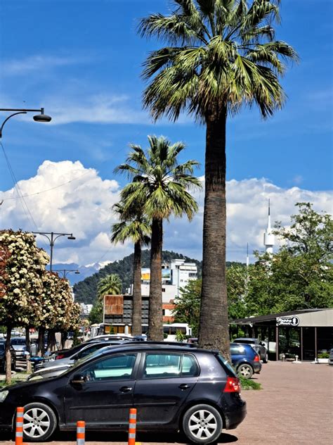 Albanien Tirana Durr S Elbasan Berliner L Wen