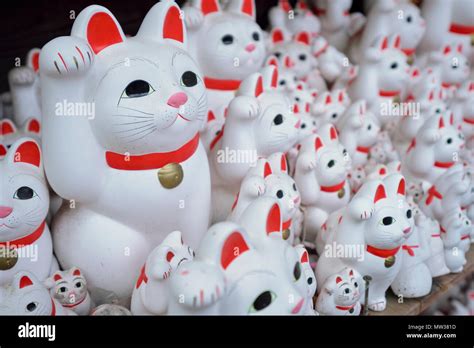 Maneki Neko Lucky Cats At Goutokuji Shrine Tokyo Japan Stock Photo