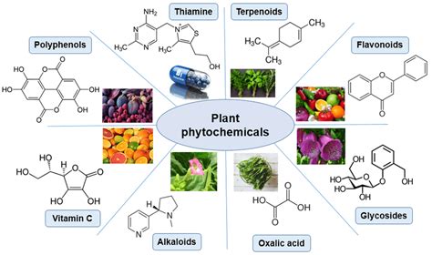 For The Health Benefits Of Phytochemicals Eat A Rainbow Roswell