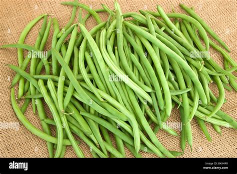 Beans Phaseolus Vulgaris Bean Hi Res Stock Photography And Images Alamy