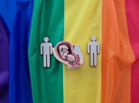 Premium Photo Foster Parents Of Lesbian And Gay Surrogacy In The World
