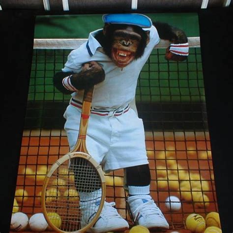 8tracks Radio If Monkeys Can Play Tennis I Can Make A Mixtape 19