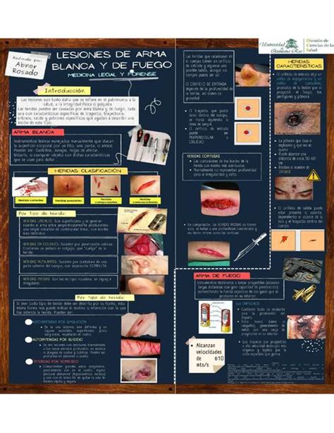 Lesiones Por Arma Blanca Y Arma De Fuego Santiago Flores Udocz