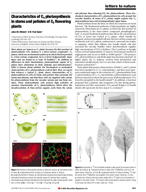 (PDF) Characteristics of C4 photosynthesis in stems and petioles of C3 flowering plants ...