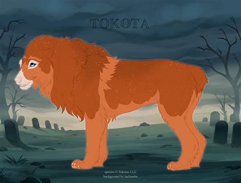Id 58308 By Totemspirit On Deviantart