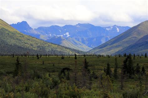 Denali National Park And Preserve Stock Photo Image Of American